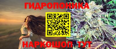 ешки Кимры