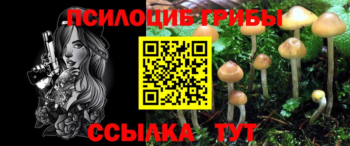 Галлюциногенные грибы ЛСД Видное