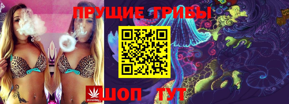 Видное  Псилоцибиновые грибы GOLDEN TEACHER  Галлюциногенные грибы Psilocybe  Вход с VPN 
